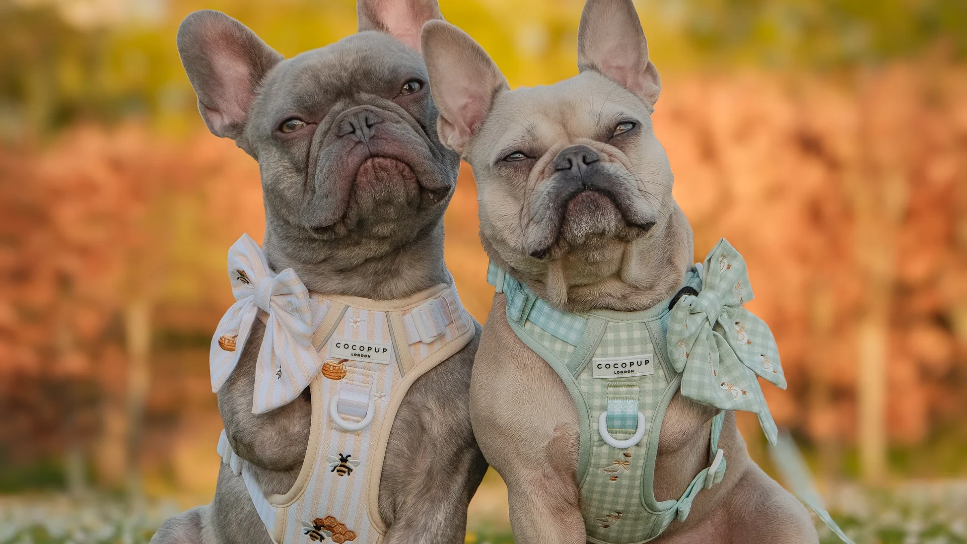 Welcome to Our Store