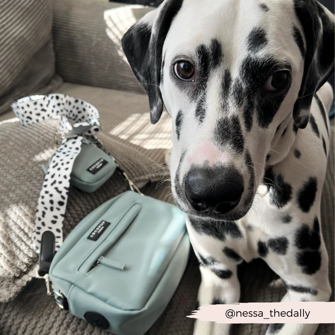 Bag Strap - Black Leopard - Image 7