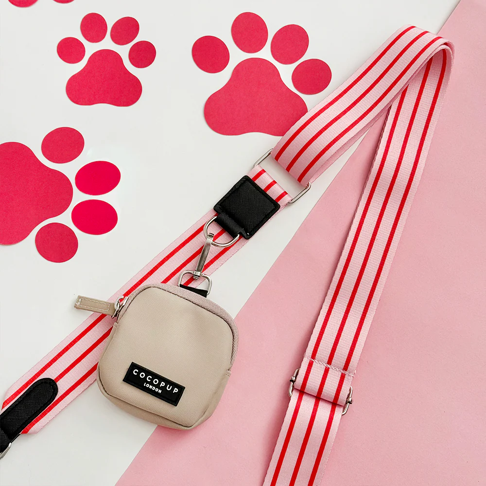 Bag Strap - Candy Stripe - Image 3