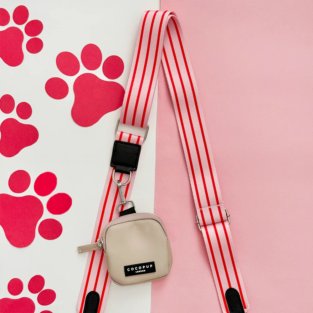 Bag Strap - Candy Stripe - Image 4