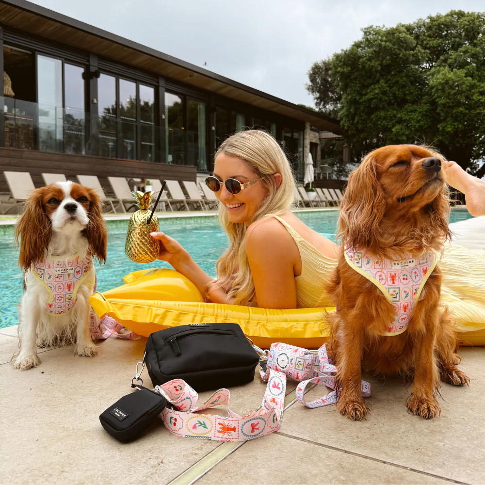 Dolce Vita Adjustable Neck HARNESS - Image 12