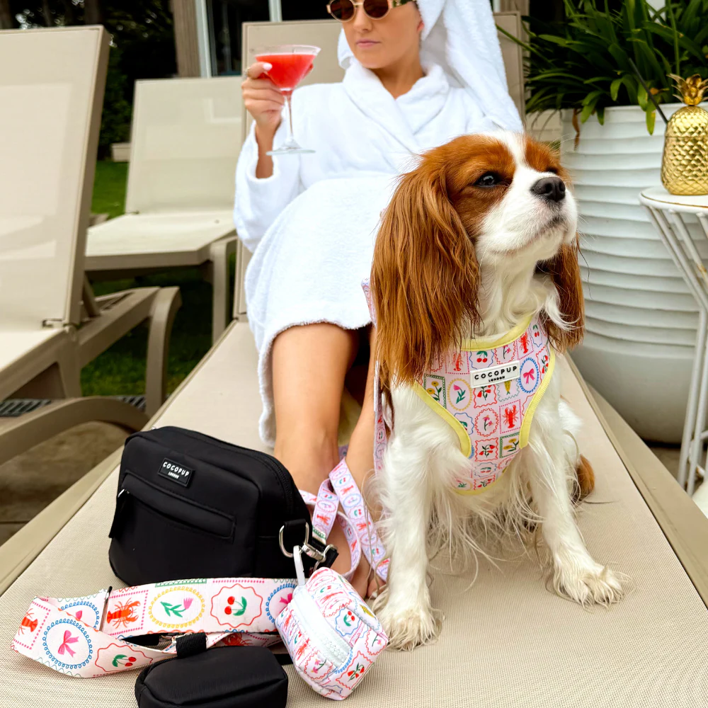 Dolce Vita Adjustable Neck HARNESS - Image 9