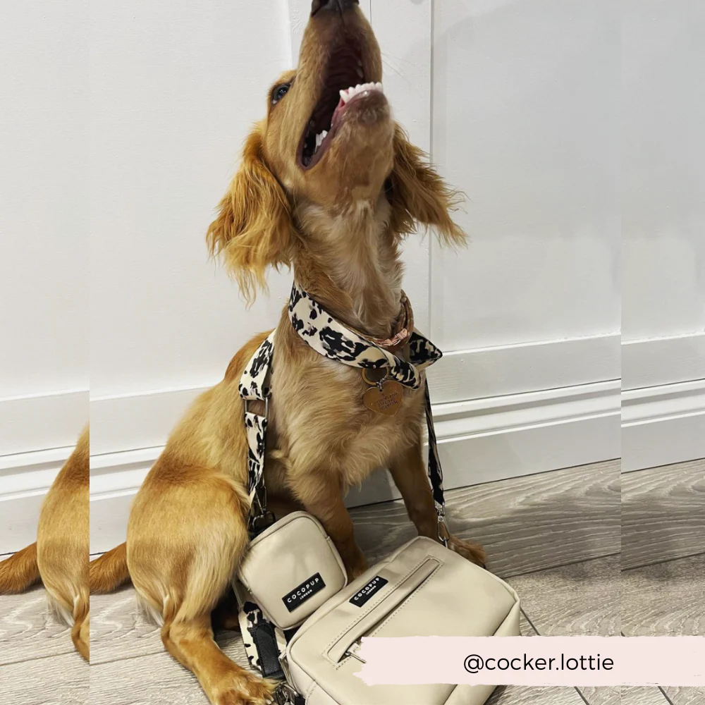 Bag Strap - Ivory Tort - Image 7