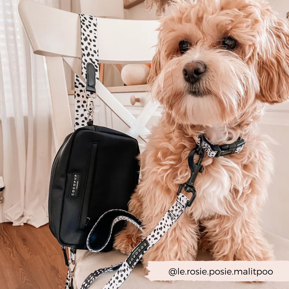 Bag Strap - Monochrome Spots - Image 10