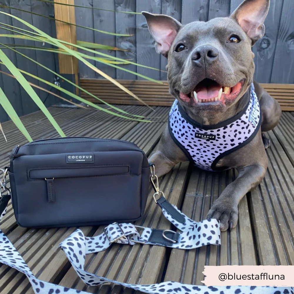 Bag Strap - Monochrome Spots - Image 7