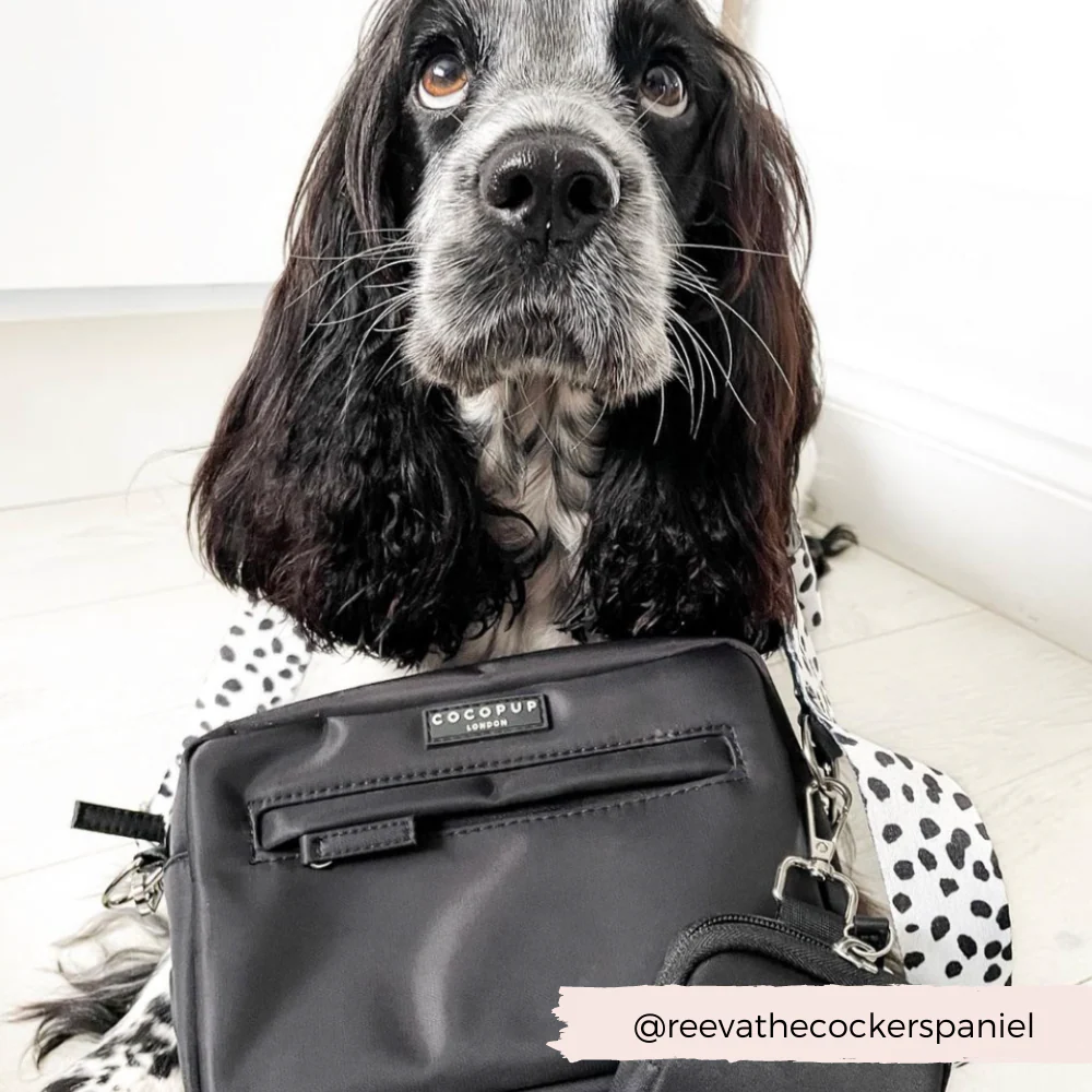 Bag Strap - Monochrome Spots - Image 8