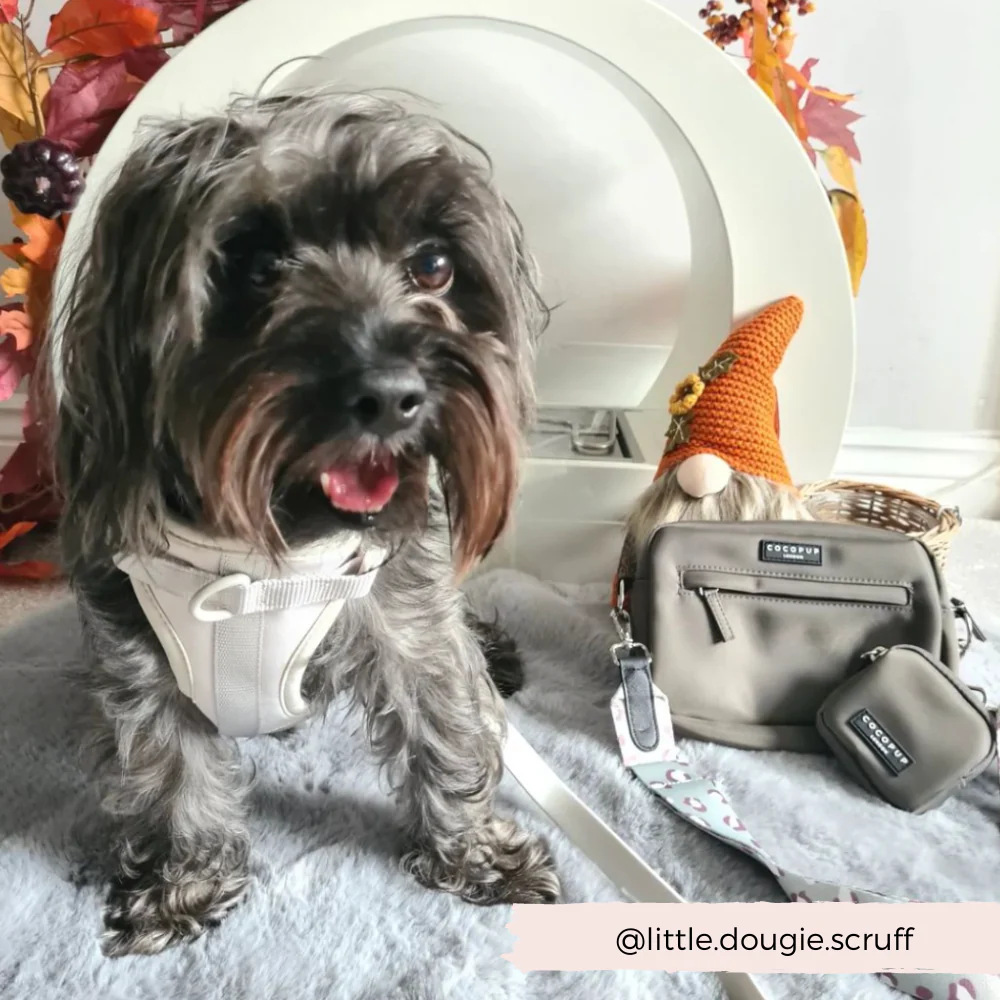 Bag Strap - Sage Leopard - Image 7