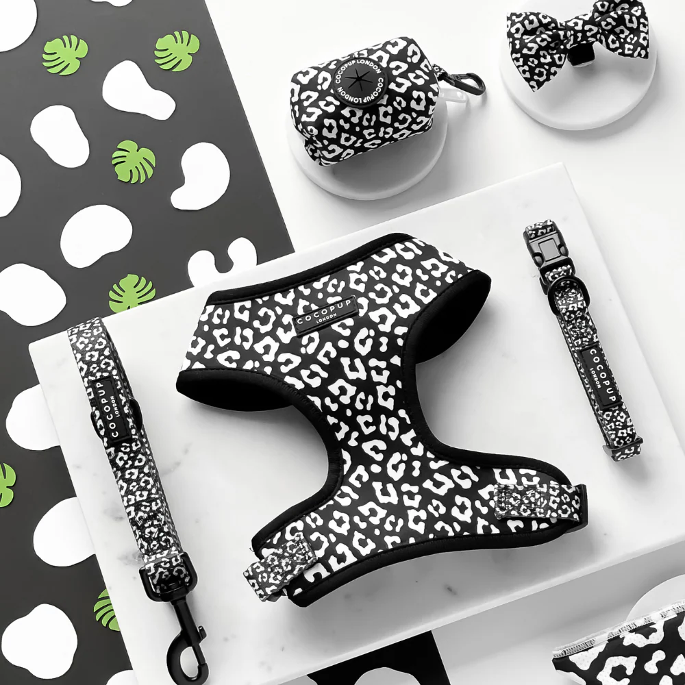 Black Leopard COLLAR - Image 3