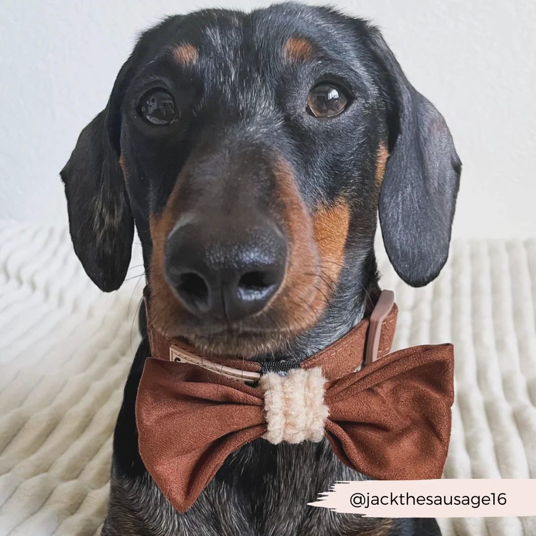 Brown Aviator Bow Tie - Image 5