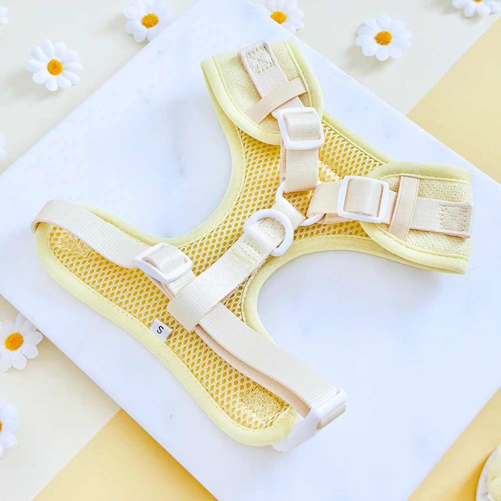 Buttercup Pup Adjustable Neck HARNESS - Image 3