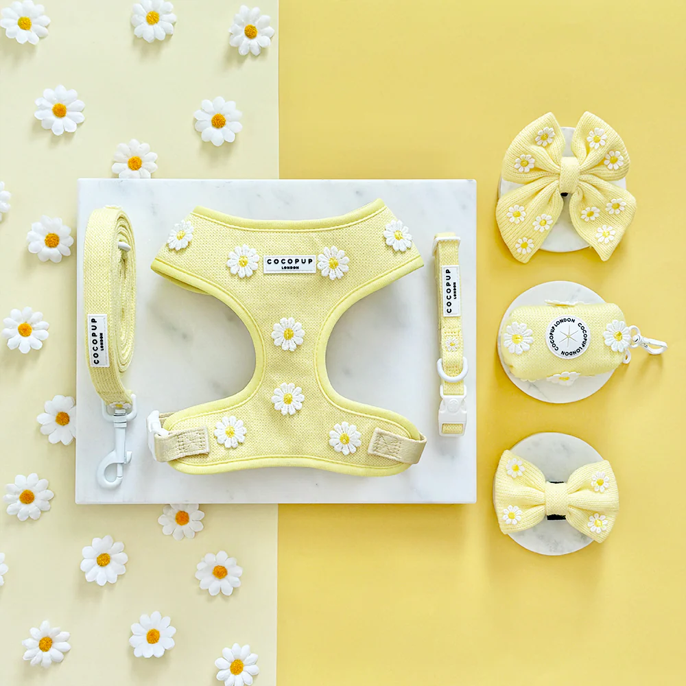 Buttercup Pup Adjustable Neck HARNESS - Image 4