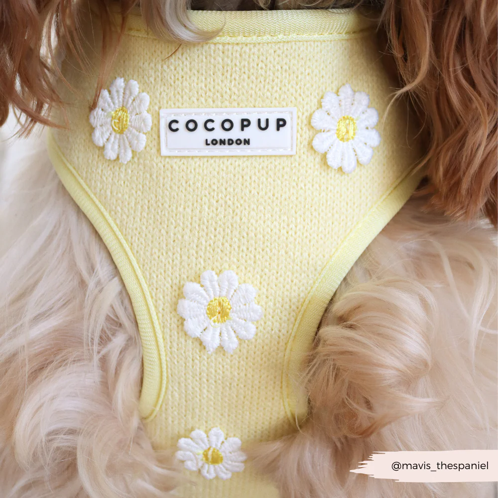 Buttercup Pup Adjustable Neck HARNESS - Image 5