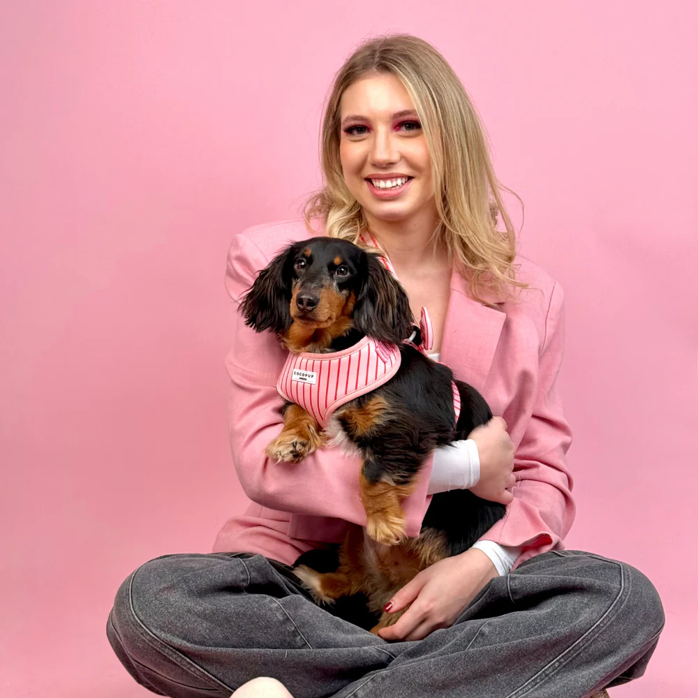 Candy Stripe Adjustable Neck HARNESS - Image 12