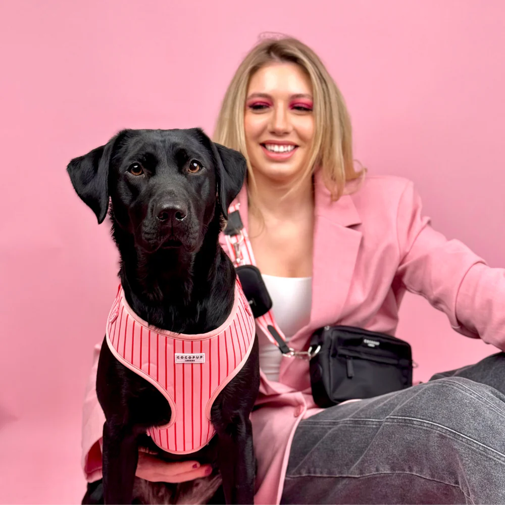 Candy Stripe Adjustable Neck HARNESS - Image 13