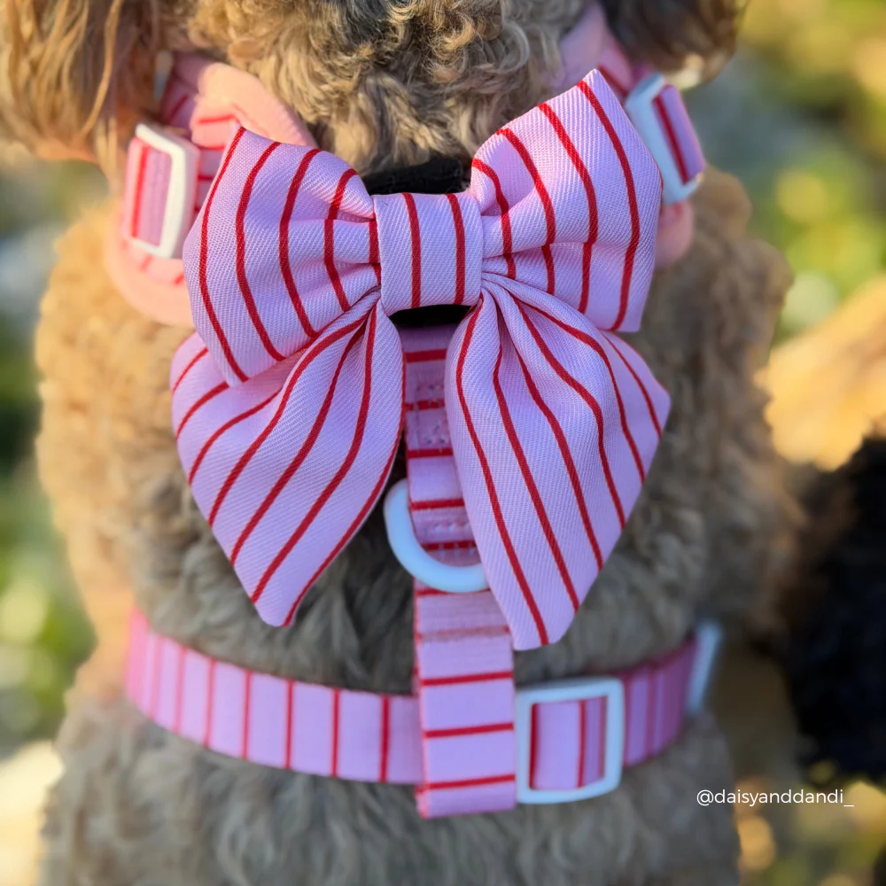 Candy Stripe Sailor Bow Tie - Image 4
