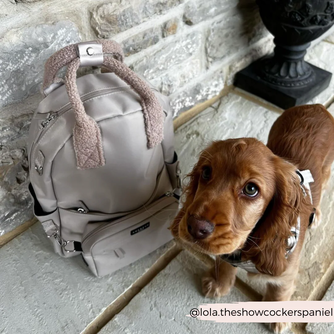 Rucksack - Caramel Latte - Image 19