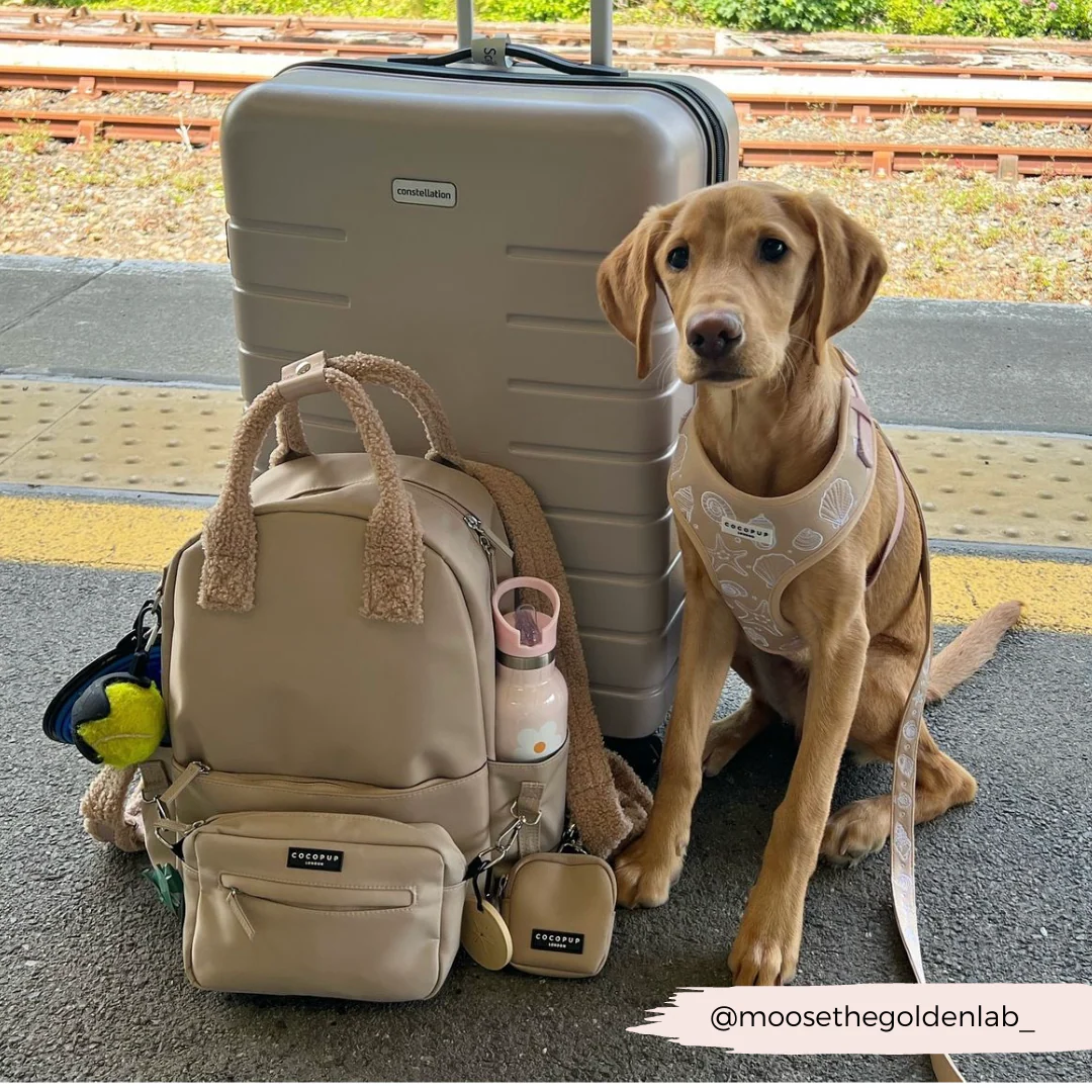 Rucksack - Caramel Latte - Image 20