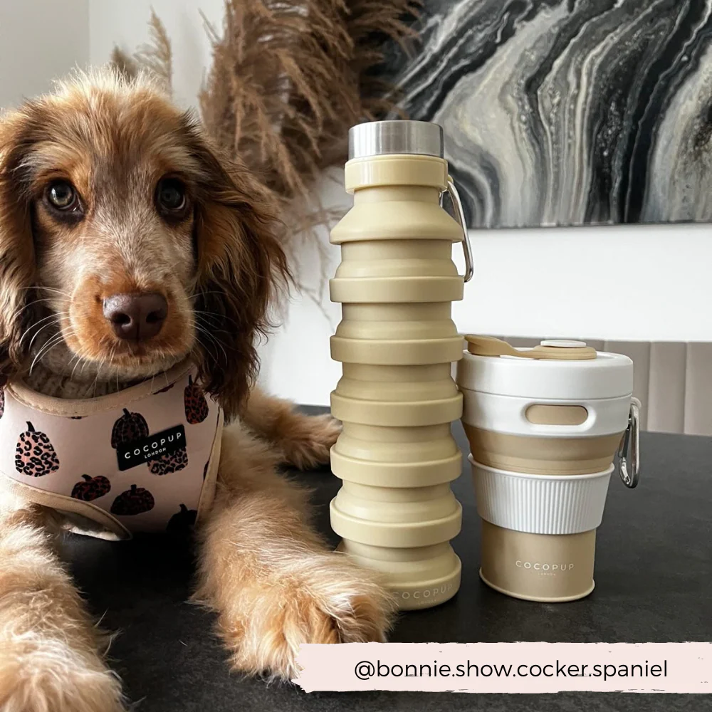 Collapsible Coffee Cup - Nude - Image 8