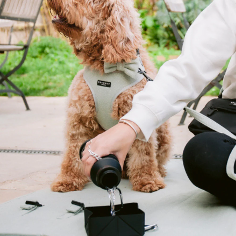 Collapsible Water Bottle - Black - Image 7