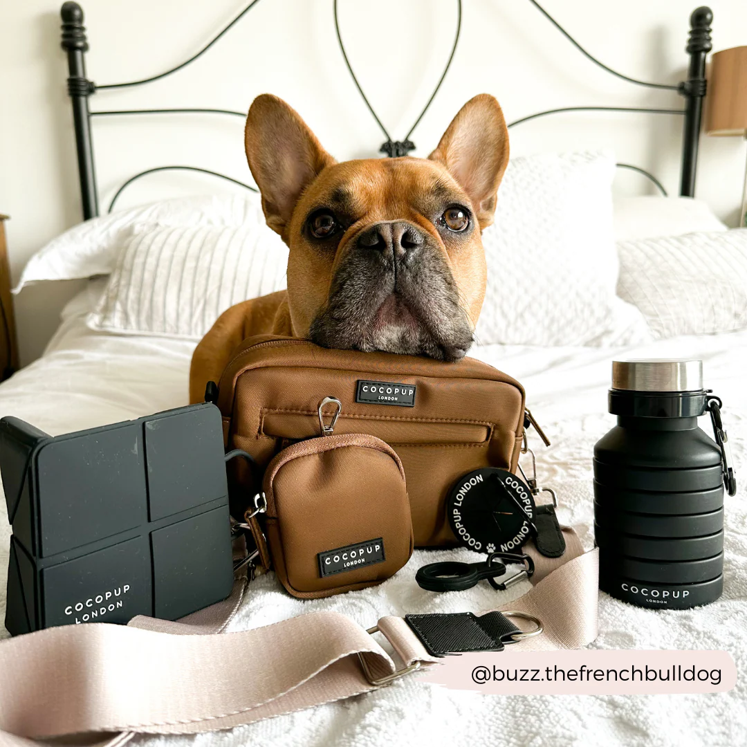 Collapsible Water Bottle - Black - Image 9