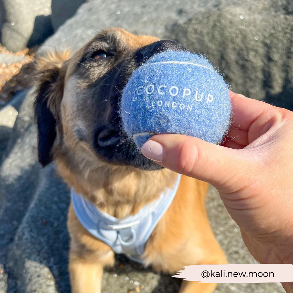 Tennis Ball - Ballin' Blue - Image 3