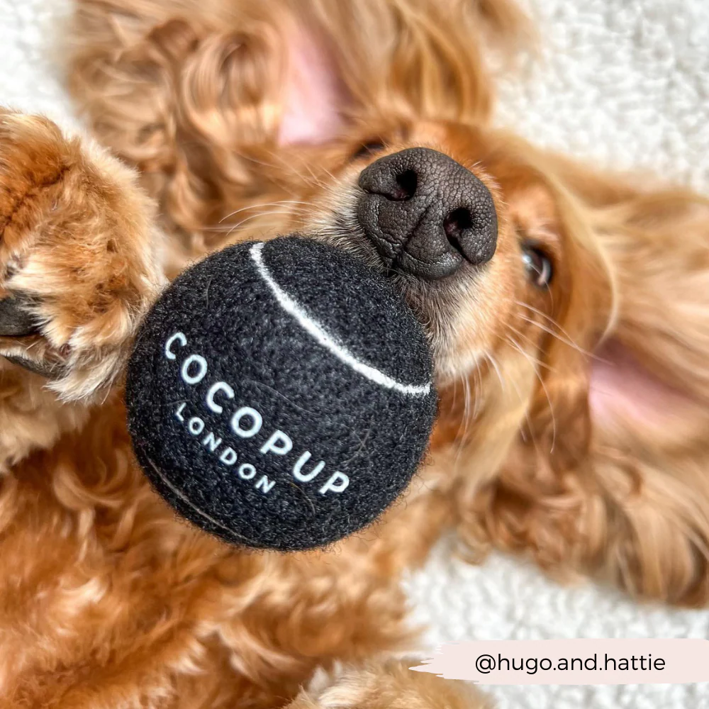 Tennis Ball - Midnight Black - Image 3