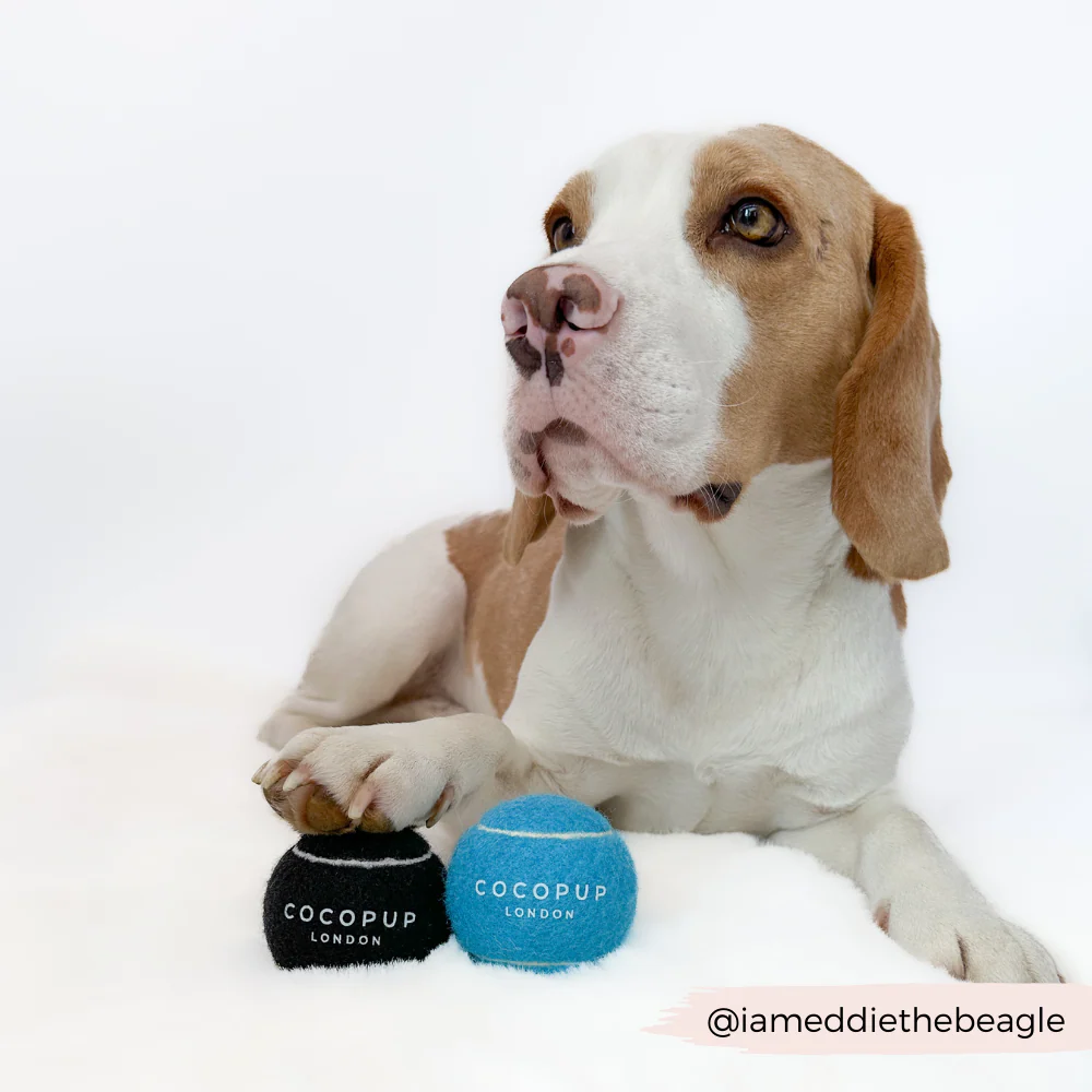 Tennis Ball - Midnight Black - Image 4