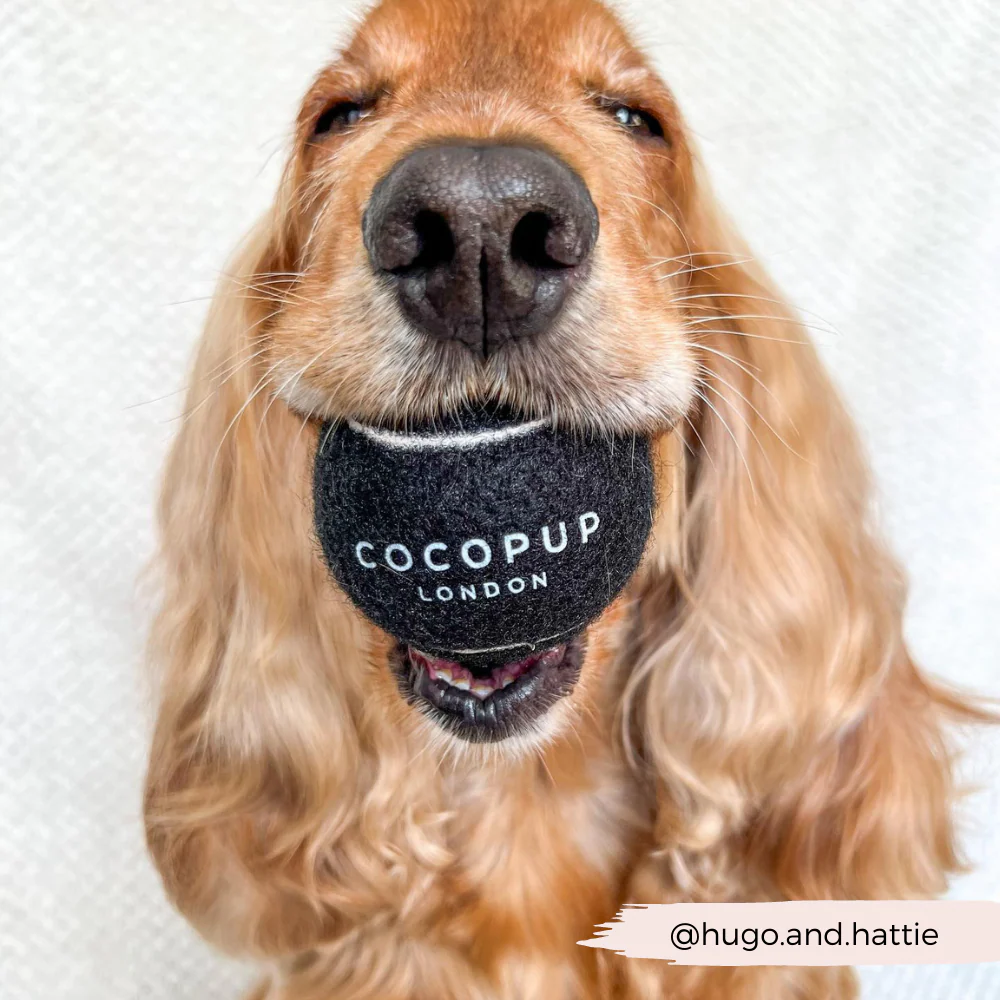 Tennis Ball - Midnight Black - Image 5