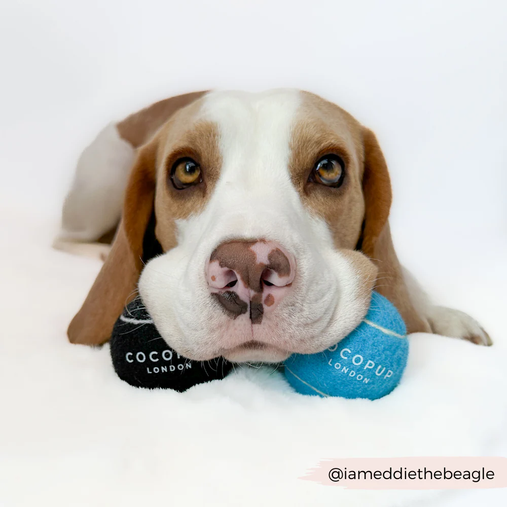 Tennis Ball - Midnight Black - Image 6