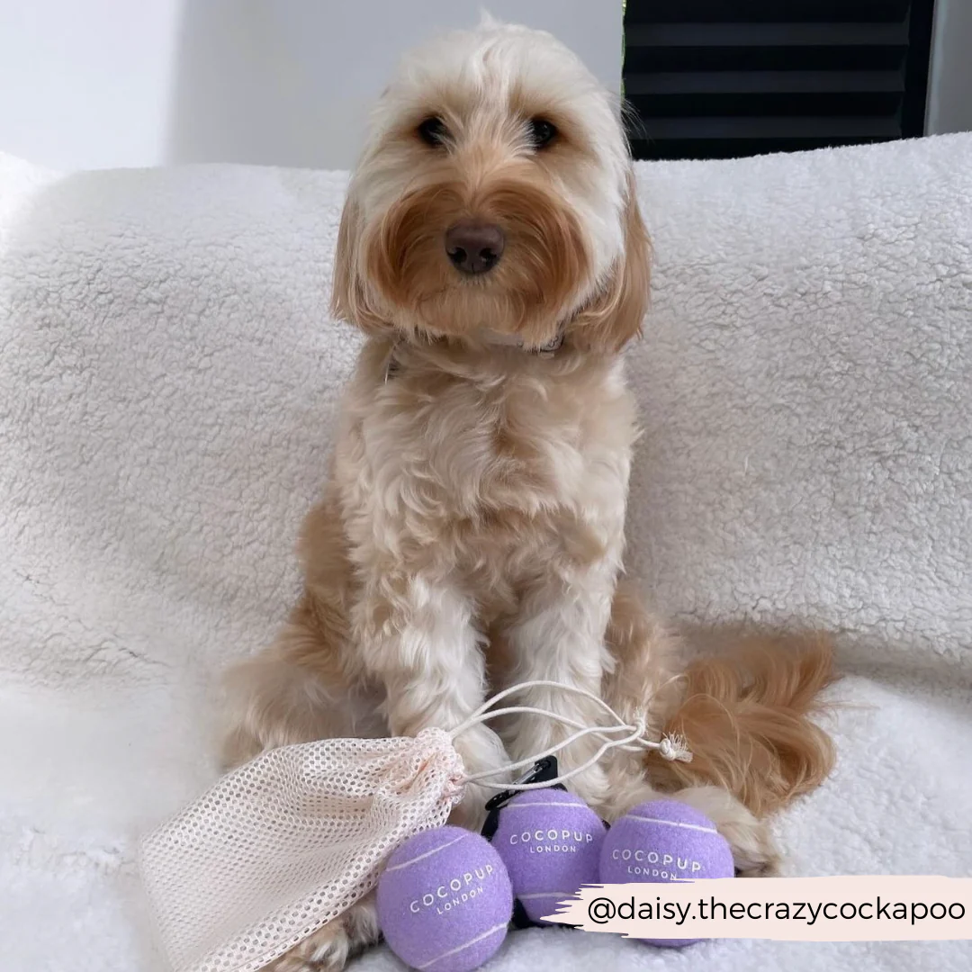 Tennis Ball - Lively Lilac - Image 4