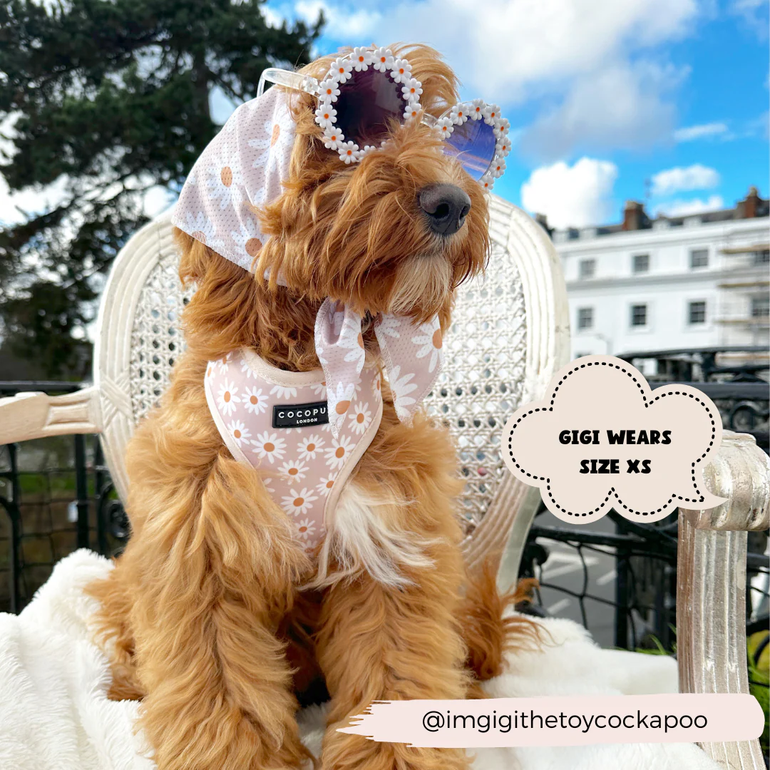 Daisy Chain Adjustable Neck HARNESS - Image 14