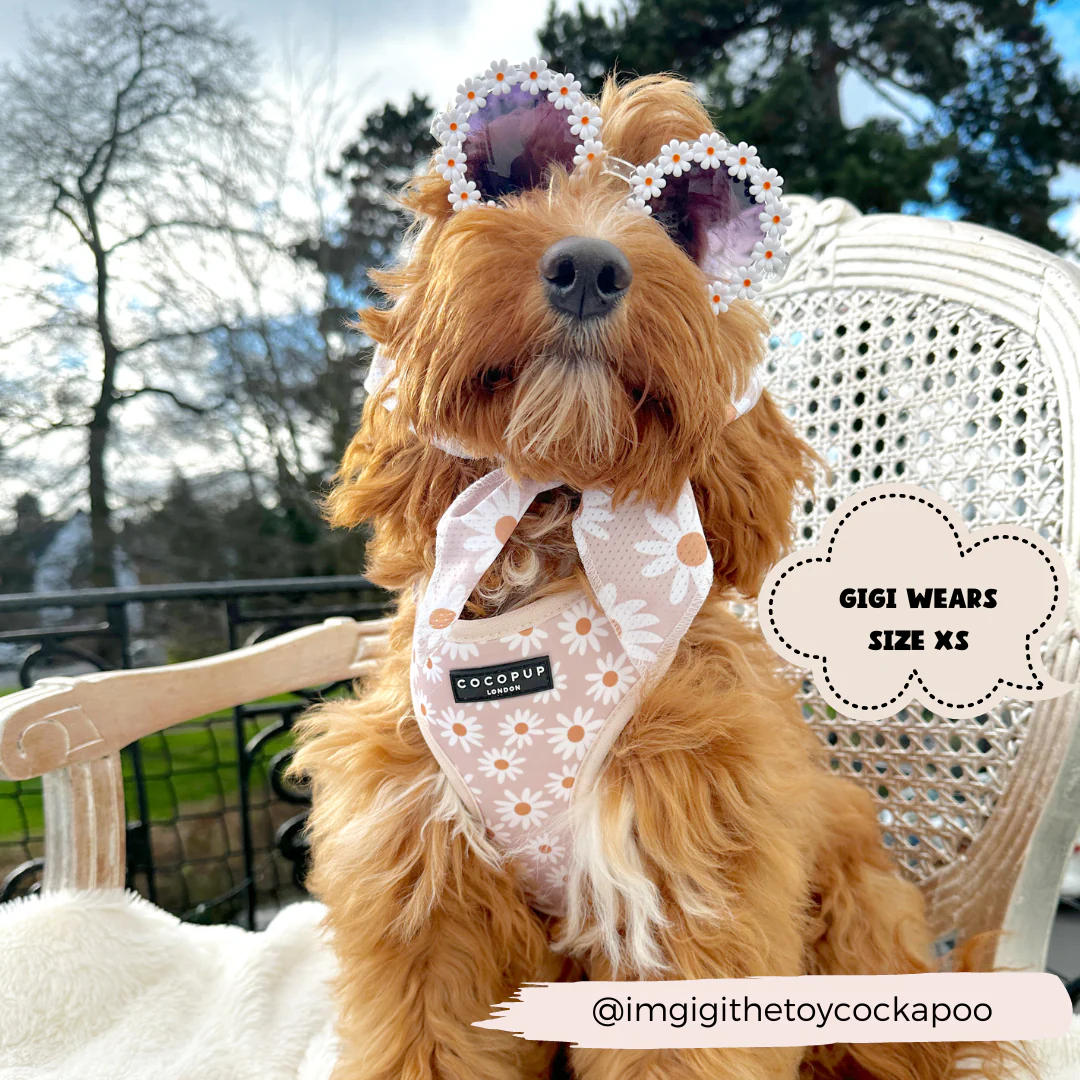 Daisy Chain Adjustable Neck HARNESS - Image 15