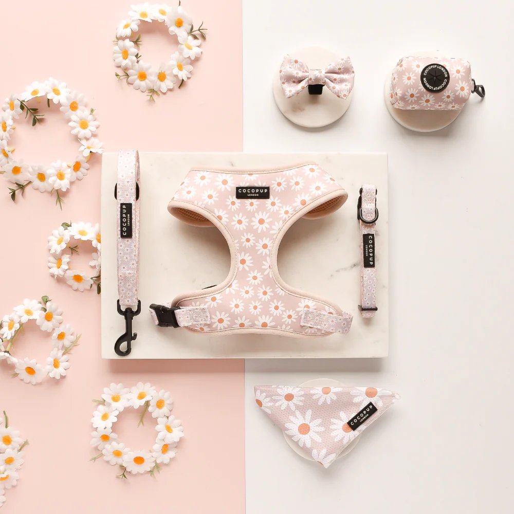 Daisy Chain Adjustable Neck HARNESS - Image 3