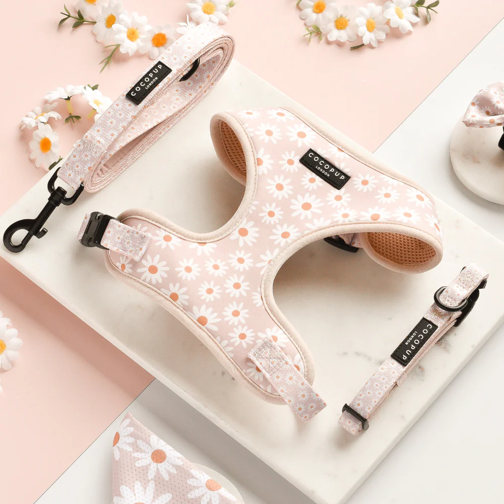 Daisy Chain Adjustable Neck HARNESS - Image 4