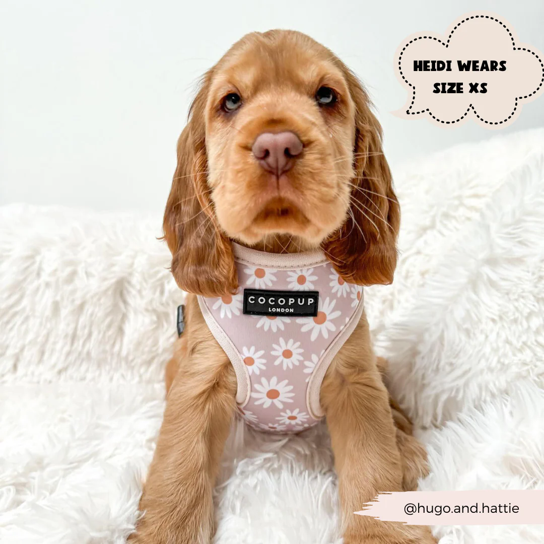 Daisy Chain Adjustable Neck HARNESS - Image 5