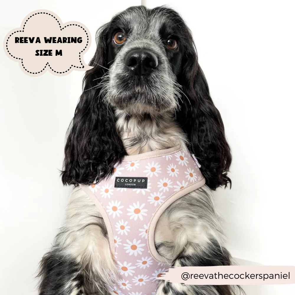 Daisy Chain Adjustable Neck HARNESS - Image 9