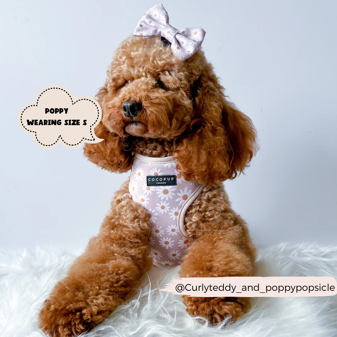 Daisy Chain Bow Tie - Image 6