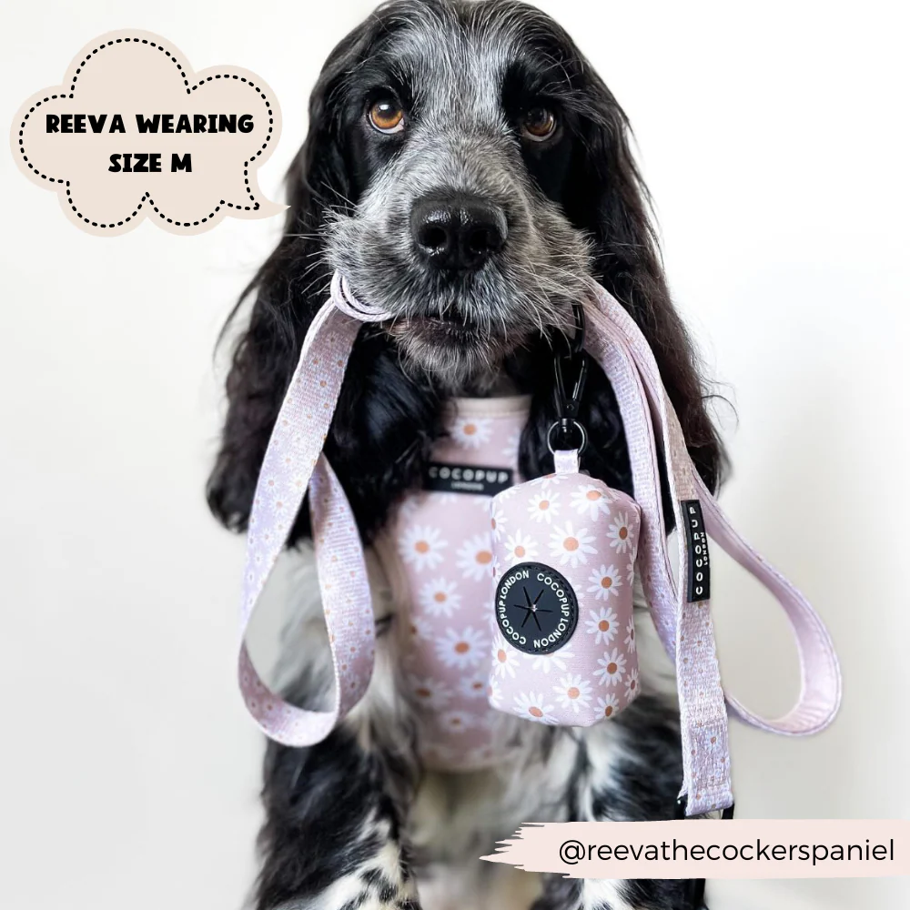 Daisy Chain Lead - Image 4