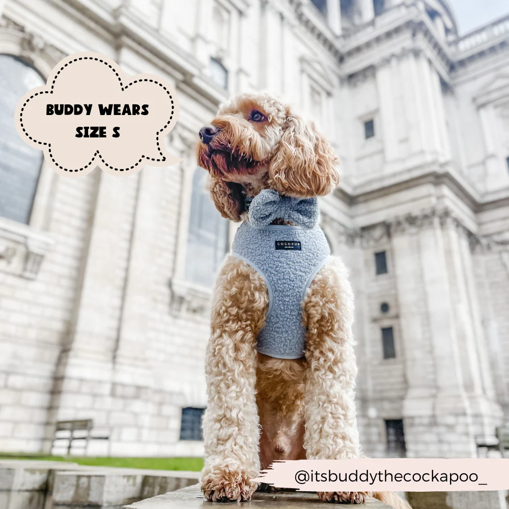 Teddy Adjustable Neck HARNESS - Daydream - Image 11