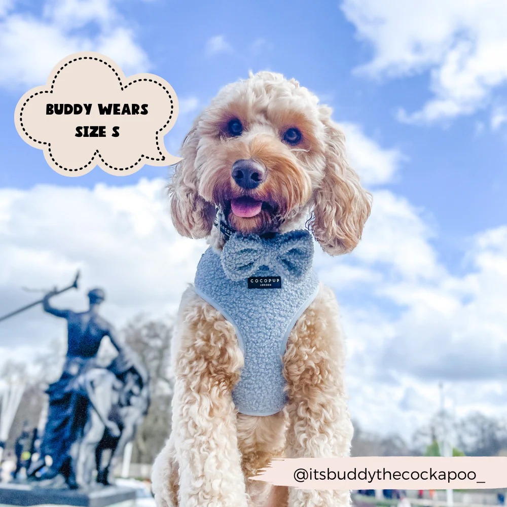 Teddy Adjustable Neck HARNESS - Daydream - Image 5