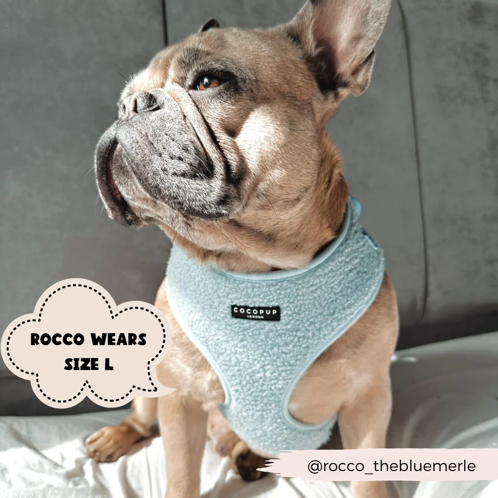 Teddy Adjustable Neck HARNESS - Daydream - Image 6