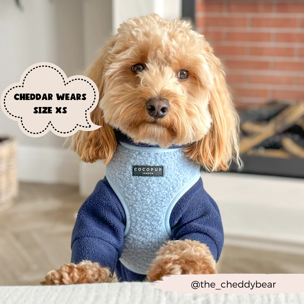 Teddy Adjustable Neck HARNESS - Daydream - Image 7