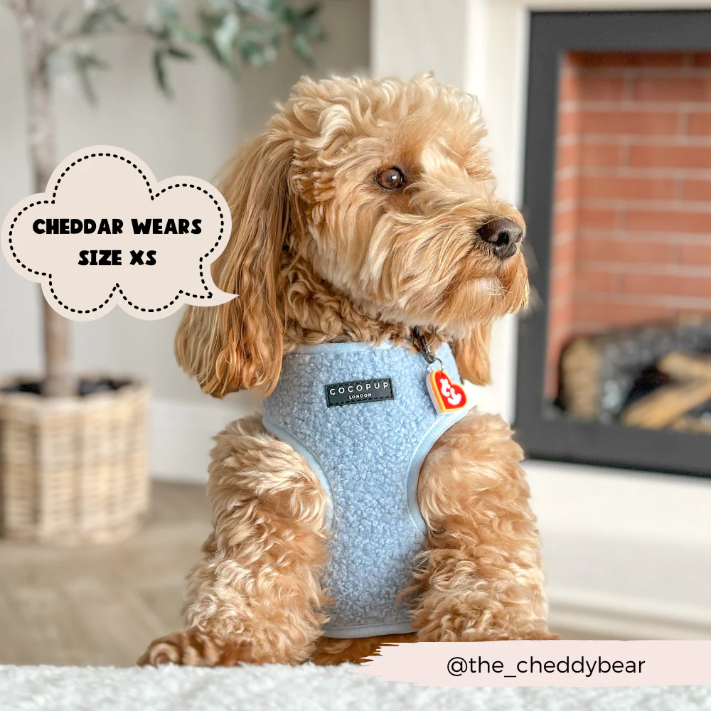 Teddy Adjustable Neck HARNESS - Daydream - Image 8