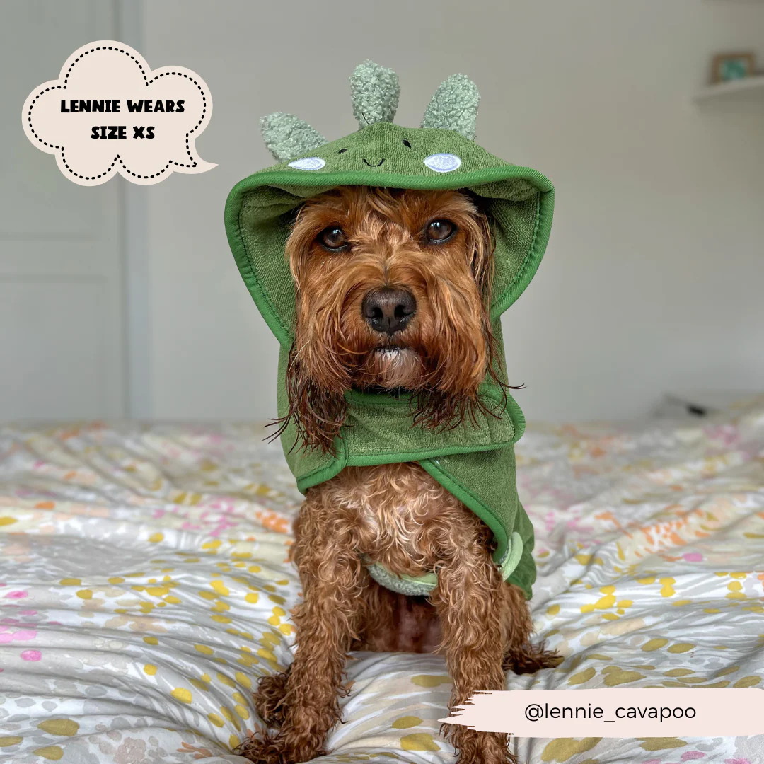 Dinopup Drying Robe - Image 11