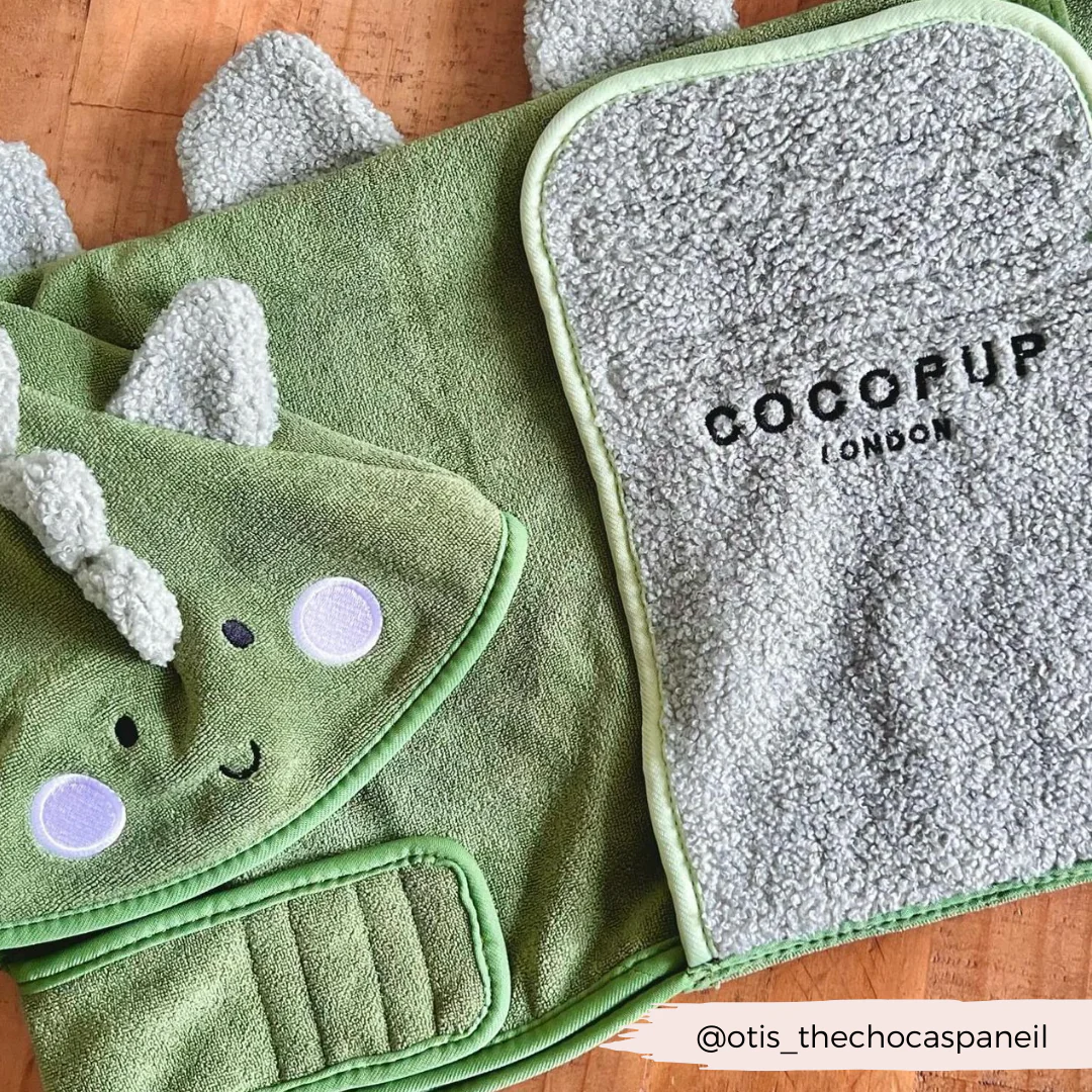 Dinopup Drying Robe - Image 15