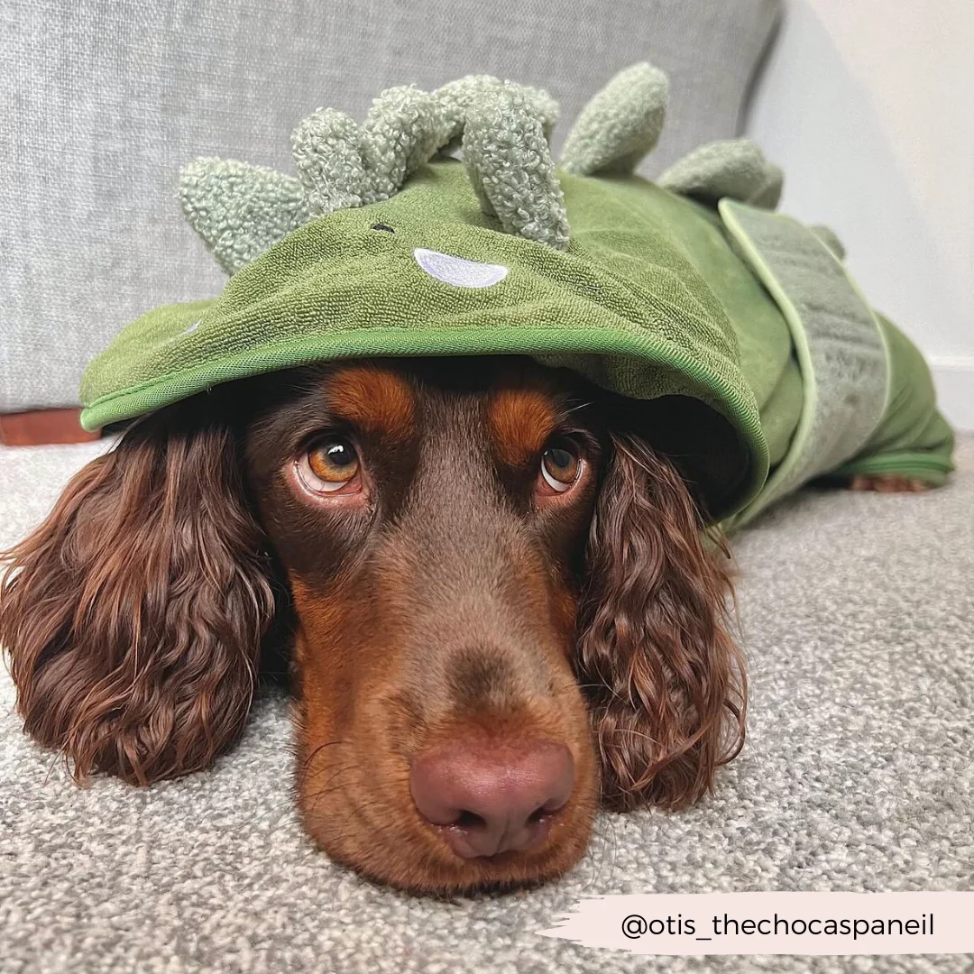 Dinopup Drying Robe - Image 16