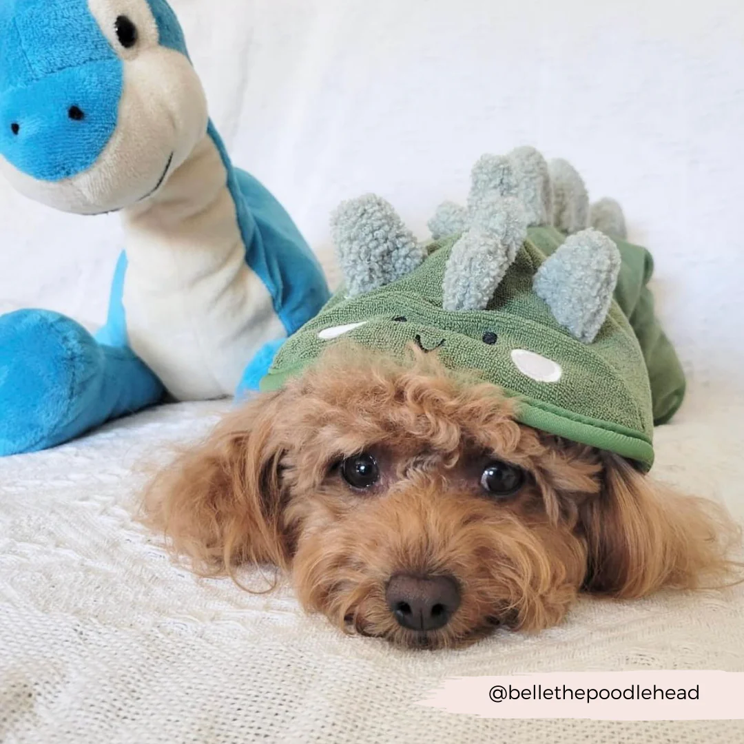 Dinopup Drying Robe - Image 20