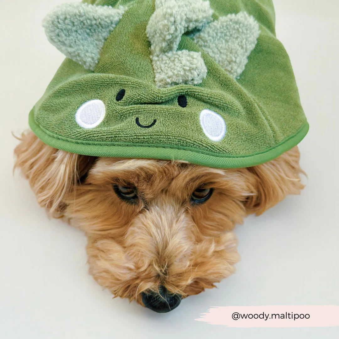 Dinopup Drying Robe - Image 5