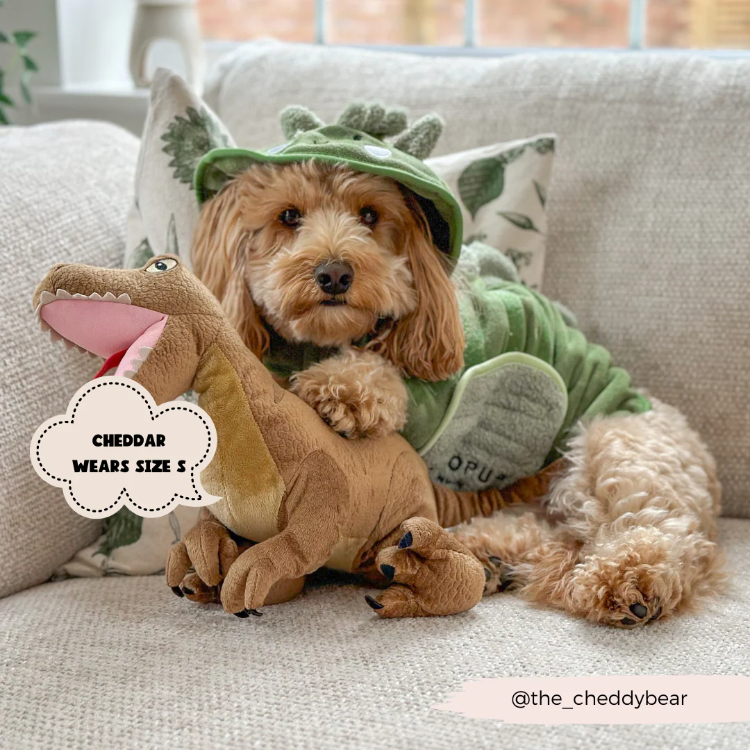 Dinopup Drying Robe - Image 6