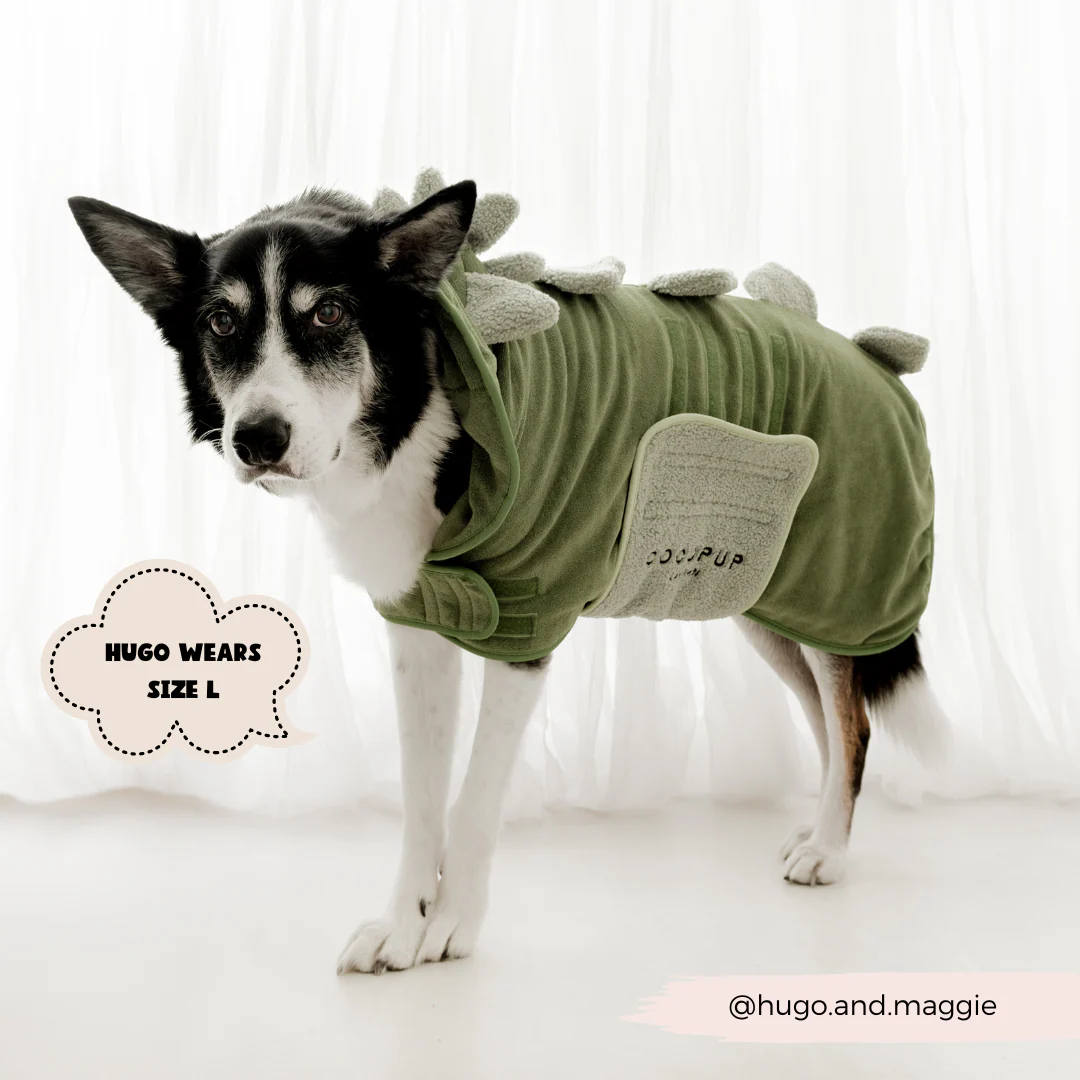 Dinopup Drying Robe - Image 7